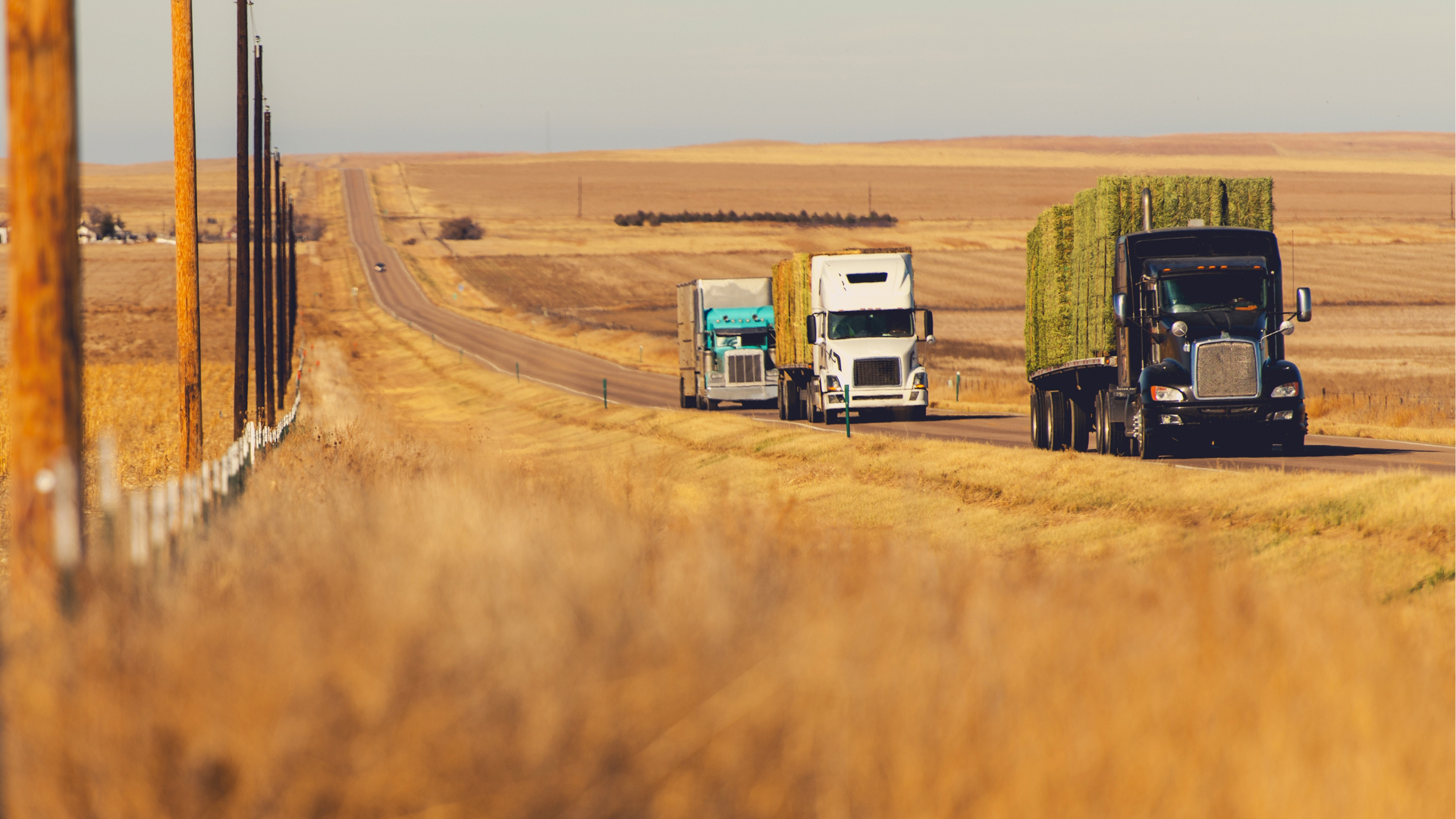 Semi Truck Maintenance and Repair